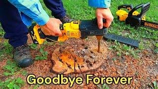 How To Remove A Tree Stump Naturally Epsom Salt