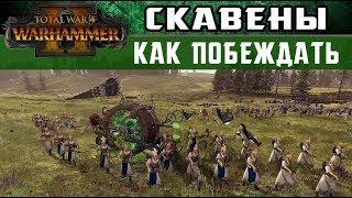  Скавены Как побеждать за них в Total War Warhammer 2  (с переводом на русский)