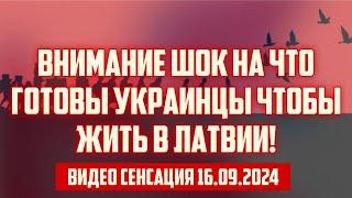 ВНИМАНИЕ ШОК НА ЧТО ГОТОВЫ УКРАИНЦЫ ЧТОБЫ ЖИТЬ В ЛАТВИИ! | СЕНСАЦИЯ 16.09.2024 | КРИМИНАЛЬНАЯ ЛАТВИЯ