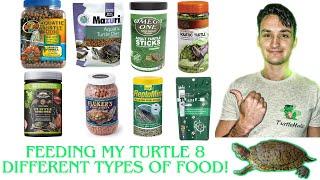 What is the BEST Turtle Food: Reviewing 8 Different Pellets (Zoo Med, Mazuri, Reptomin, etc)