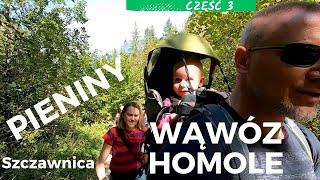 PIĘKNY WĄWÓZ HOMOLE Z DZIECKIEM W NOSIDEŁKU TURYSTYCZNYM |SZCZAWNICA, PIENINY #3  |RobDriveVlog