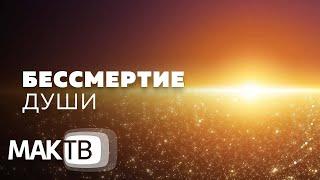 Бессмертие души. “КАББАЛА ДЛЯ ВСЕХ” на МАКтв