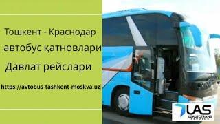 Ташкент Краснодар автобус. Тошкент Краснодар автобус -  Tashkent Krasnodar avtobus