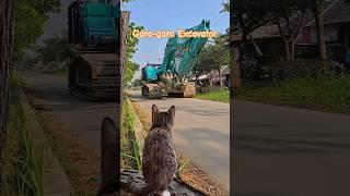 Gara-gara excavator kucing kaget #excavator #kucing #kucingkaget #shorts