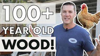 Backyard Chicken Coop Transformation