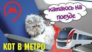 С котом вход разрешен! Метро | Кевин катается на поезде