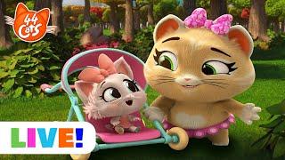  LIVE | 44 Cats Full Episodes Marathon | Pilou Kittysitter & More! 