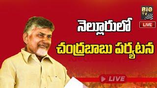 Chandrababu Nellore Tour Live | పార్లమెంట్లు వారీగా చంద్రబాబు సమీక్షలు | BIG TV Telugu News Channel