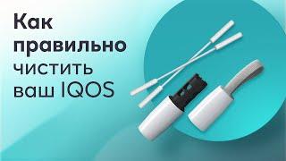 Как правильно чистить ваш IQOS