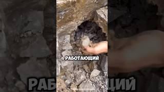 Почему шахтёры не крадут алмазы. Настоящая причина в...  #shorts #факты