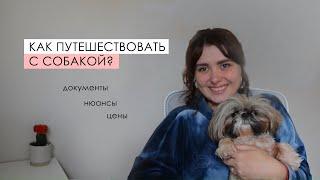 КАК путешествовать С СОБАКОЙ ? ПРАВИЛЬНОЕ оформление документов, цены, нюансы.