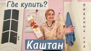 Где купить? КАШТАН СЪЕДОБНЫЙ. ЭКЗОТИКА в МОЁМ САДУ.  #любимыйсадутатьяны #каштан