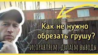 Как НЕПРАВИЛЬНО обрезать грушу? Исправляем ошибки. ПОСМОТРИ - ПОТОМ ОБРЕЗАЙ!