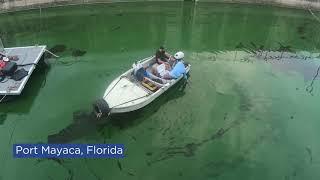 Green Water Solutions - safely cleaning the worlds water with Nano Bubble Ozone Technology (NBOT)