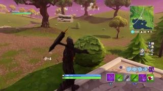 Fortnite Battle Royale\\FNG Official