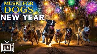 Dog TV: Firework Anxiety Relief | Calm Music for Dogs During New Year’s Countdown from Loud Noises