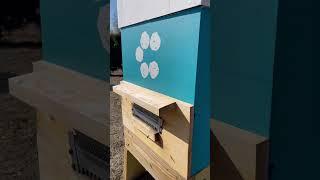 What is keeping these bees alive??? #beekeeping #bees #beehive #beekeeper #honeybees #beebarn