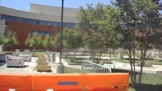 Why Attend College at Texas A&M University-Corpus Christi (HACI)