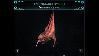 Преисподняя курица- урон на максималках в м20  #Neverwinter online | m20