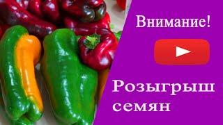 Внимание ! Розыгрыш семян!