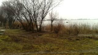 Поплавочная рыбалка на озере в д.Жидче 7.03.2016г. Float fishing on a lake of d.Zhidche