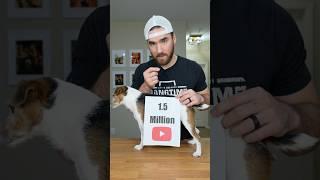 new play button