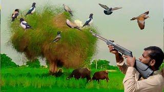 Jungali kabutar Aur fakhta Ka Shikar | pigeon and Dove hunting with airgun  airgun hunter very munda