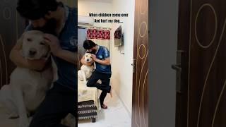 You hurt my child, i hurt your child  #yuvimicky #dog #labrador #cute