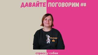 Стресс у собак. Как помочь и что делать? Личный опыт. Выпуск #8/Давайте поговорим/Патрик спрашивает