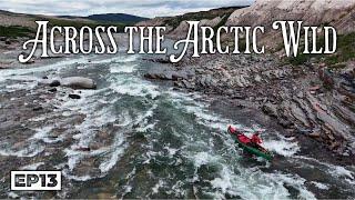 Across the Arctic Wild: A 20-Day Journey Through the Heart of the Barren Grounds -E.13 Grizzly Bear