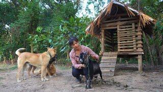 Returning to the Village, My Parents Gave Me a Goat. Building a Goat Pen on the Mountain