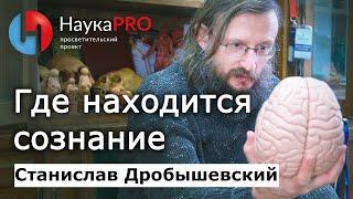 Где находится сознание? – Станислав Дробышевский | Лекции по антропологии | Научпоп