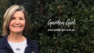 Garden Girl - Intro Trailer