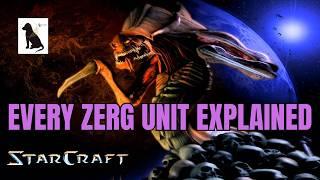 StarCraft Lore: Every Zerg Unit Explained