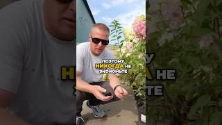 Выбор Дешёвого Торфа - Самая Дорогая Ошибка