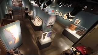 McClung Museum of Natural History and Culture - Exhibit Transition Time Lapse