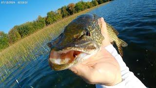 Northern Pike Chases Topwater Lure and Spins my Kayak.  #fishing