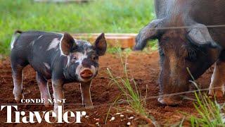 How Hawaiians Are Farming In Harmony With Nature | Condé Nast Traveler