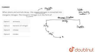 When plants  and animals  decay , the organic nitrogen is converted into inorganic nitrogen.