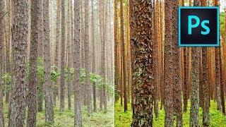 Adobe Photoshop TUTORIALS! How to ENHANCE your photos FAST! LUT Photoshop How To Edit Photos