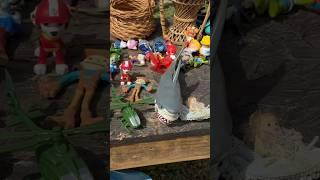 Yard Sale Toys #countrydiggers #yardsale #yardsalefinds #toys #toysforkids