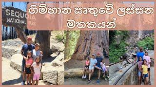 DAYS IN OUR LIFE SINHALA | SUMMER DAYS | MOM LIFE WITH HESHI