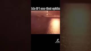 flash running meme