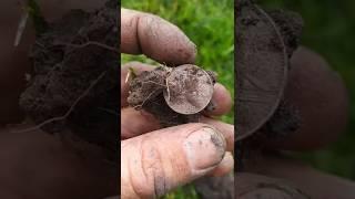 Lucky Year Nickel #shorts | @MAERvideos Treasure Hunters #DeepBeepMemories