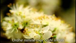 Учим песни Шри Чинмоя - Ami Nil Akashe (music by Sri Chinmoy)