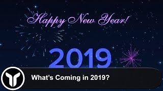 MrYorkiesWorld | What's Coming in 2019? | NEW Additions And a Surprise!