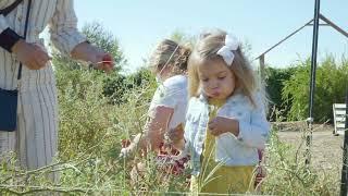 Picking Flowers at Park Winters