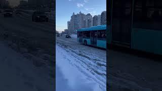 Автобус МАЗ-203.047 по маршруту 80! #транспорт #автобус ​⁠@Nevsky_Transport