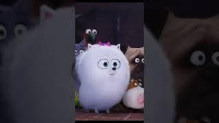 MoviesWD Shorts Channel Offical Trailer 