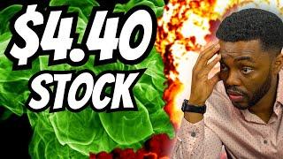 The $4 Stock They Didn't Tell You About